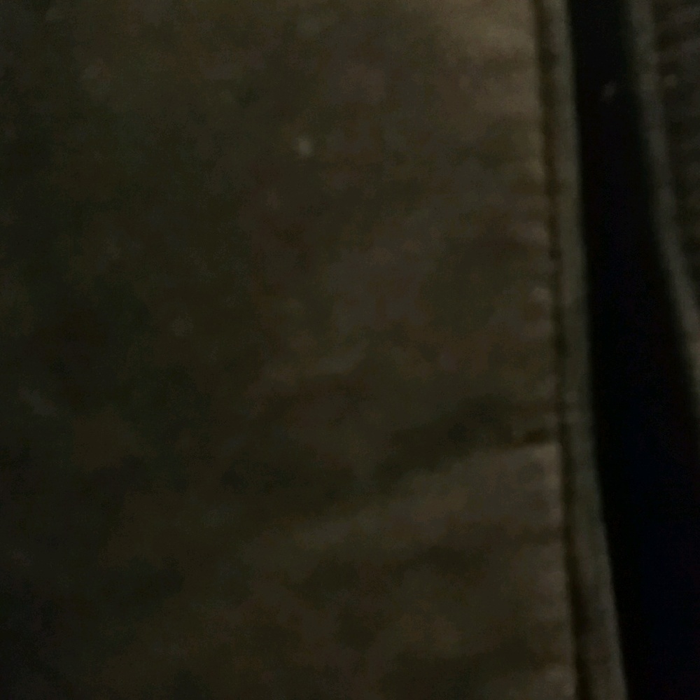 Meet your Posher, Evans jr